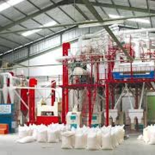 Flour mill plant